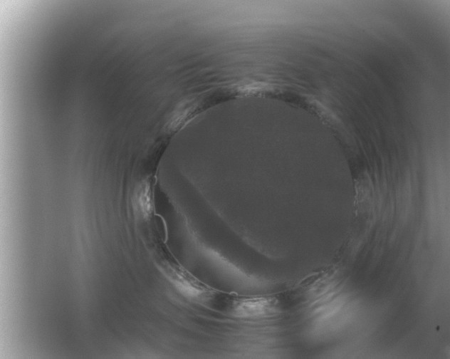 X0000062150479200512161239