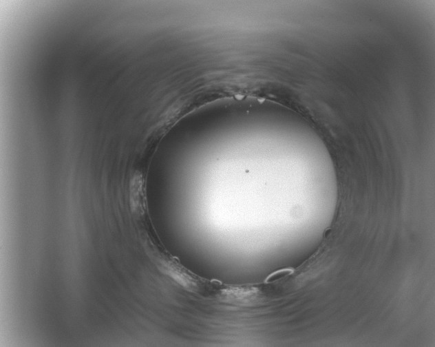 X0000062150480200512161239