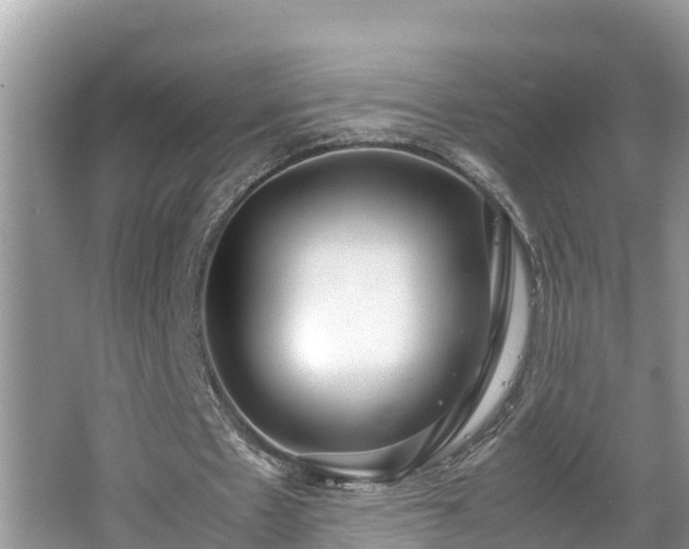 X0000062150481200512161238