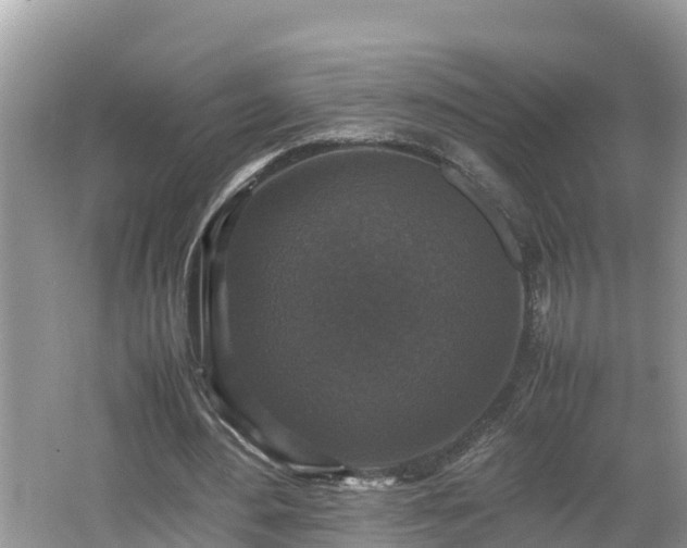 X0000062150484200512161238