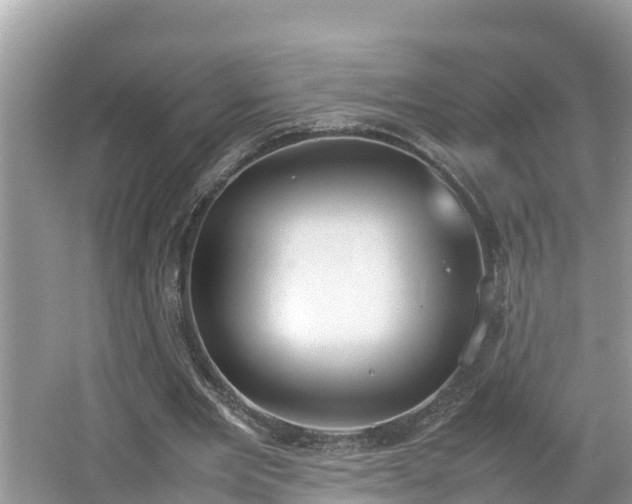 X0000062150485200512161238