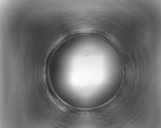 X0000062150486200512161238