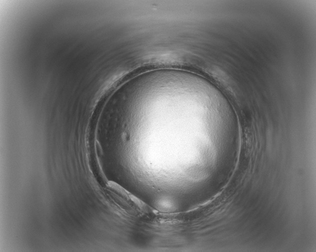 X0000062150487200512161238