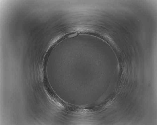 X0000062150488200512161238