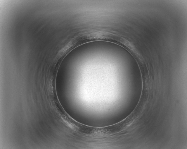 X0000062150489200512161238