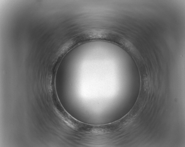 X0000062150490200512161238