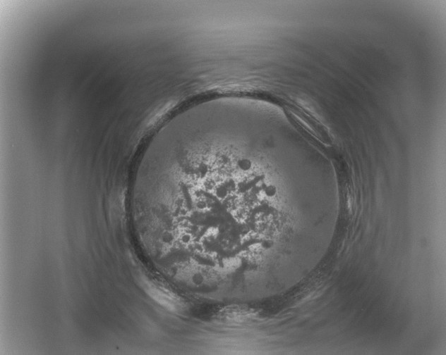 X0000062150491200512161238