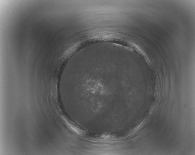 X0000062150493200512161238