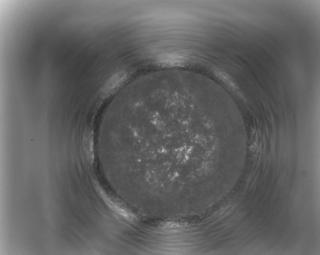 X0000062150494200512161238