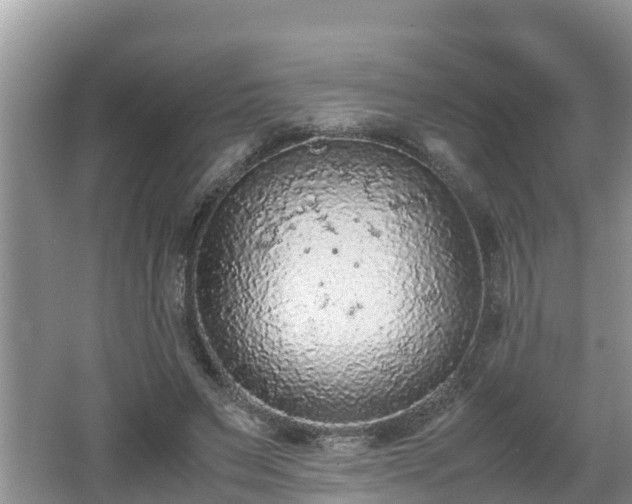 X0000062150495200512161238