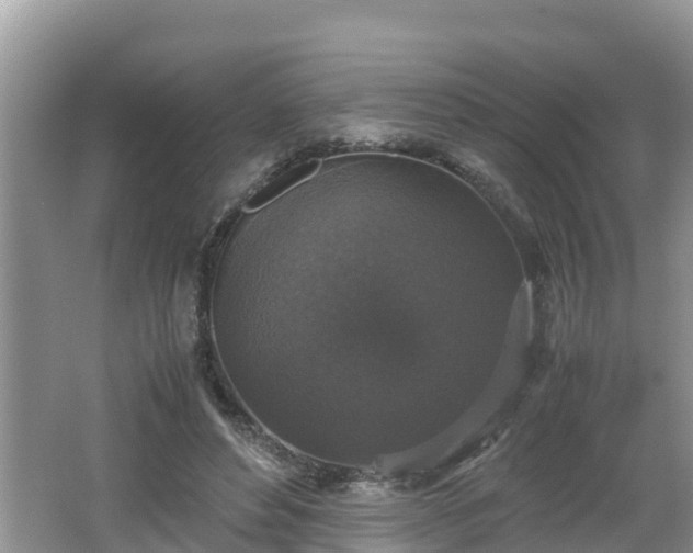 X0000062150496200512161238