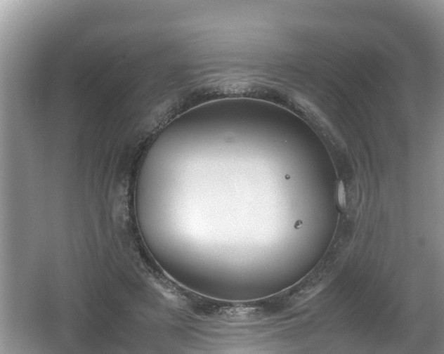 X0000062150497200512161238