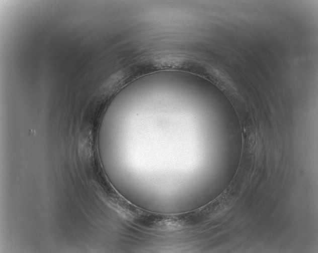 X0000062150498200512161238