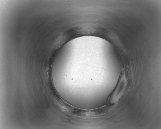 X0000062150501200512161238