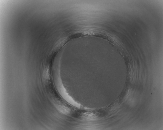 X0000062150502200512161238