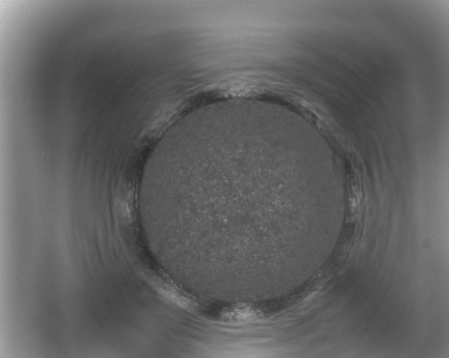 X0000062150503200512161238