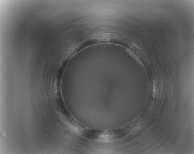 X0000062150504200512161238