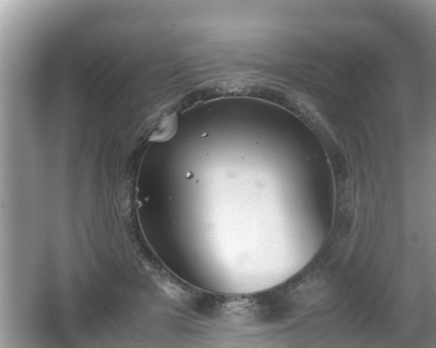 X0000062150505200512161238