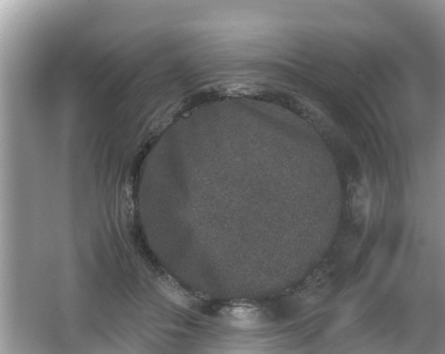 X0000062150506200512161238