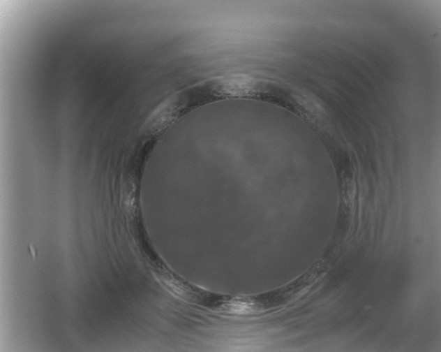 X0000062150507200512161238