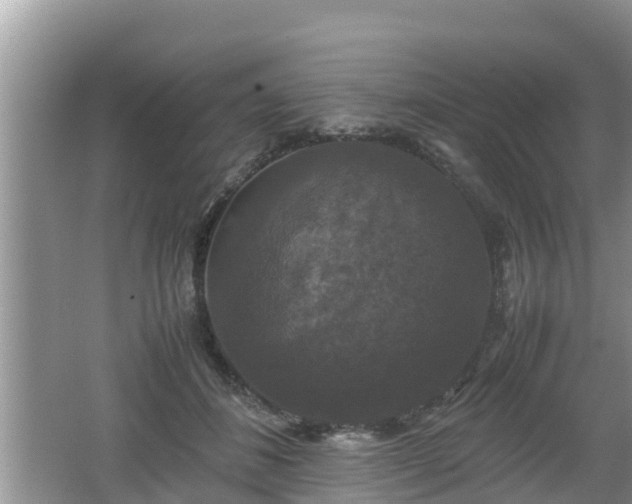 X0000062150508200512161238