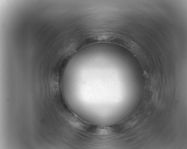 X0000062150510200512161238