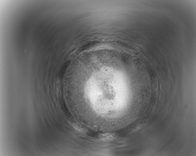 X0000062150511200512161238