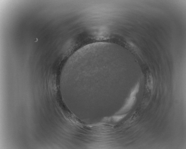 X0000062150512200512161238