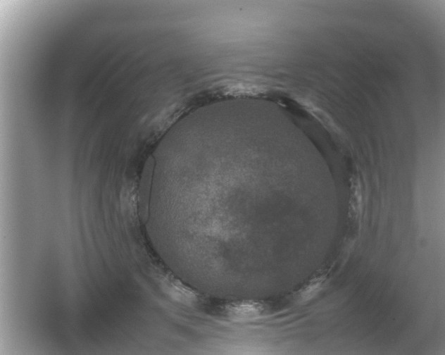 X0000062150513200512161238