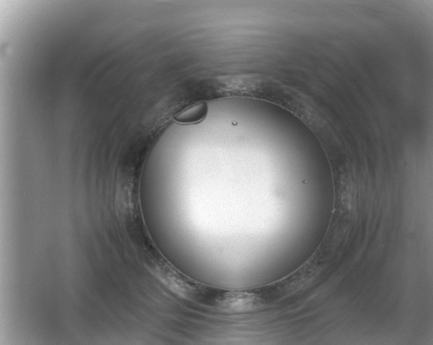 X0000062150514200512161238