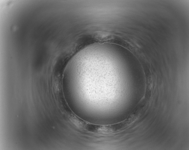 X0000062150515200512161238