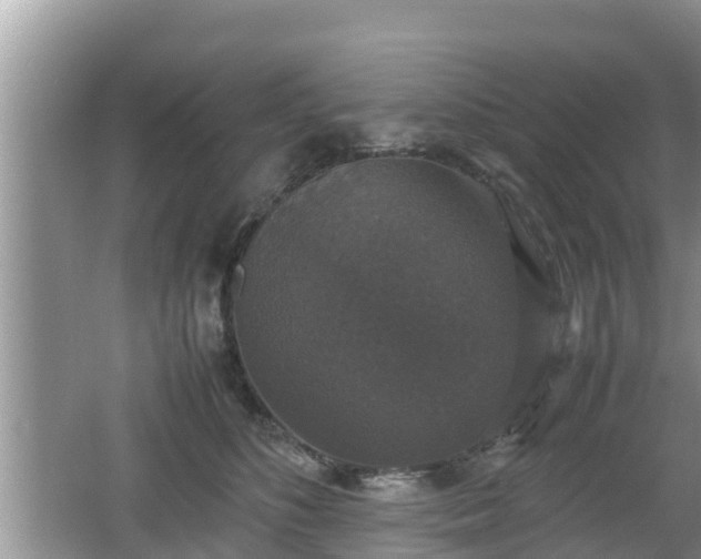 X0000062150516200512161238