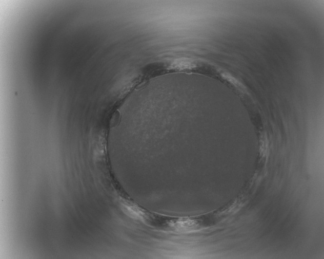 X0000062150517200512161238