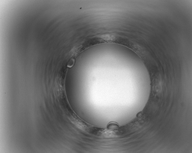 X0000062150518200512161238