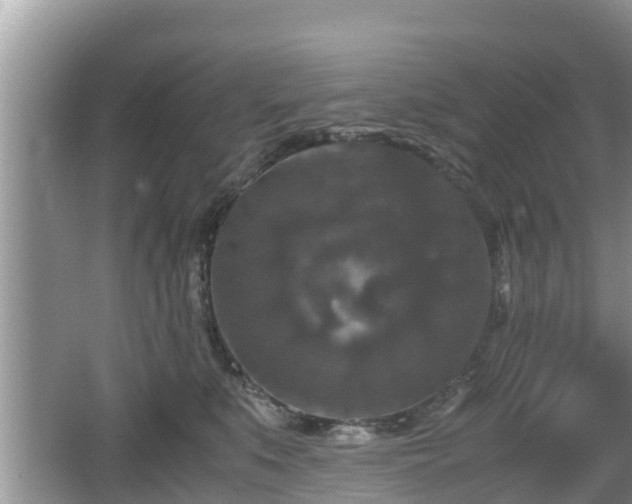 X0000062150519200512161238