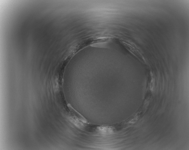 X0000062150520200512161238