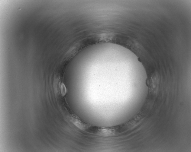 X0000062150522200512161238