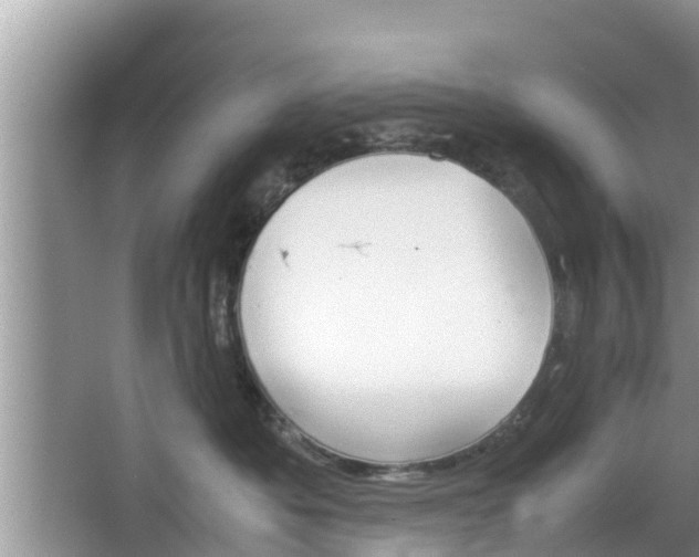 X0000062150525200512161237