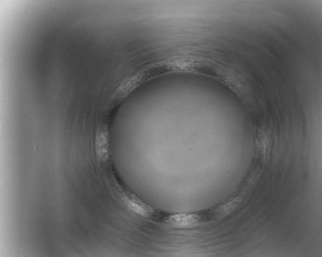 X0000062150526200512161237