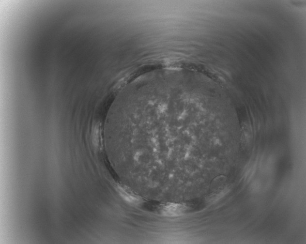 X0000062150527200512161237