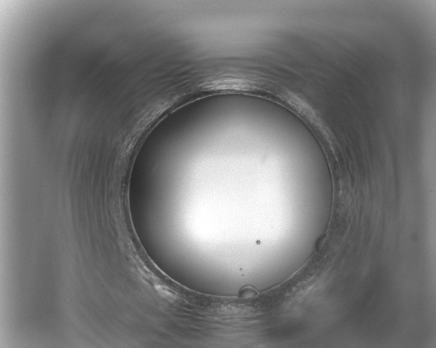 X0000062150529200512161237