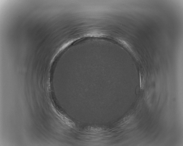 X0000062150531200512161237