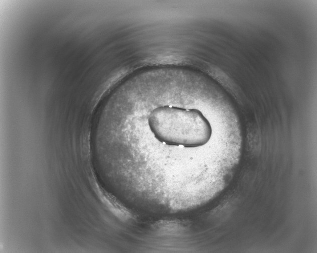 X0000062150534200512161237