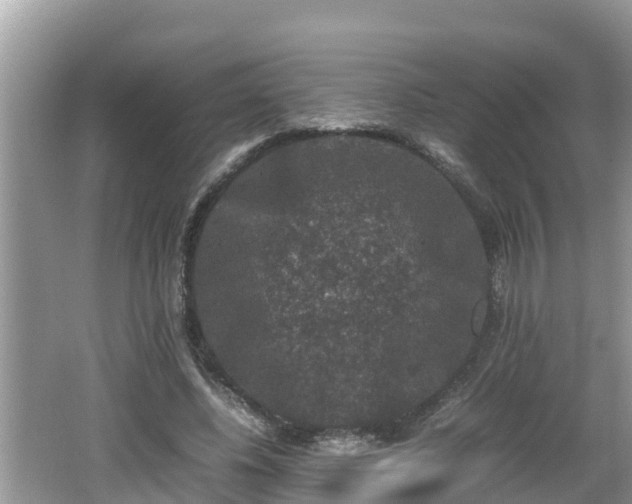 X0000062150540200512161237