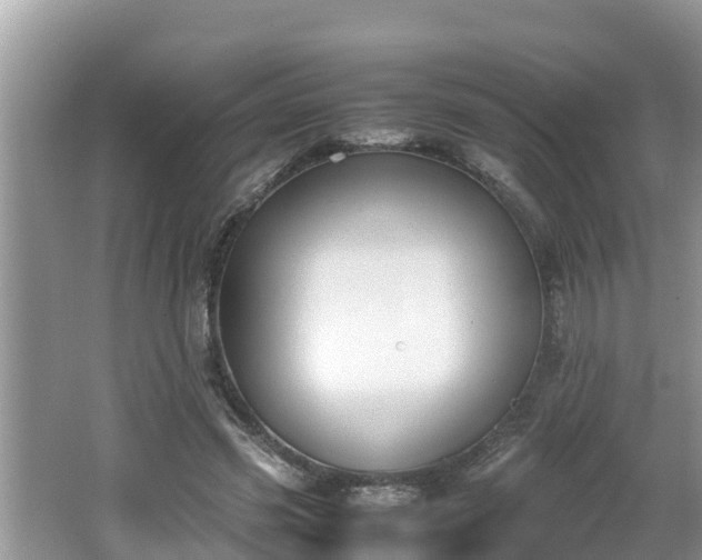 X0000062150541200512161237