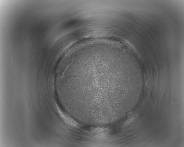 X0000062150542200512161237