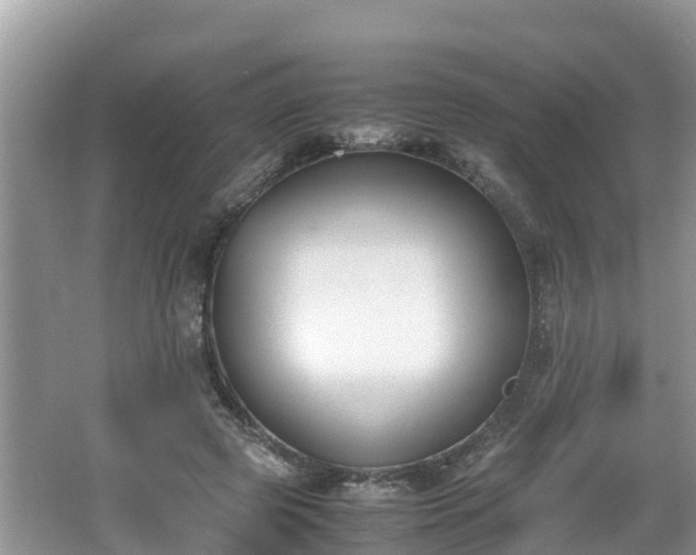 X0000062150545200512161237