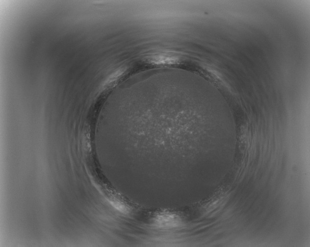 X0000062150547200512161237