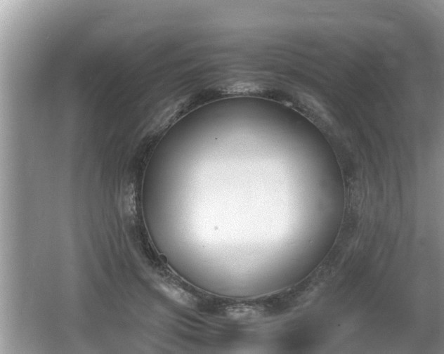 X0000062150549200512161237