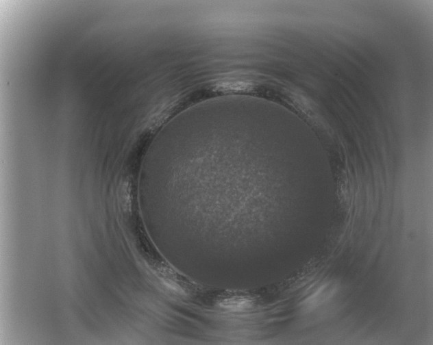 X0000062150551200512161237